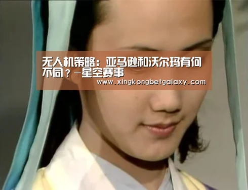 无人机策略:亚马逊和沃尔玛有何不同?-星空赛事(图3) 星空电竞